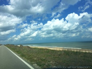 Paseo en auto por Florida