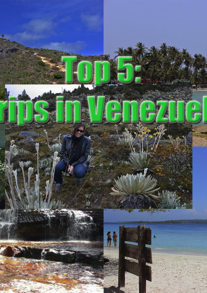 Top 5: Trips in Venezuela